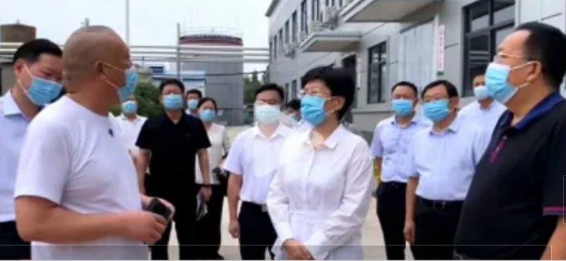 焦作市委書記葛巧紅一行蒞臨旭瑞集團參觀調(diào)研！